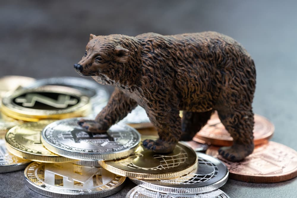 7 Quiet Bear Market Signals That Show Up Before the Price Does